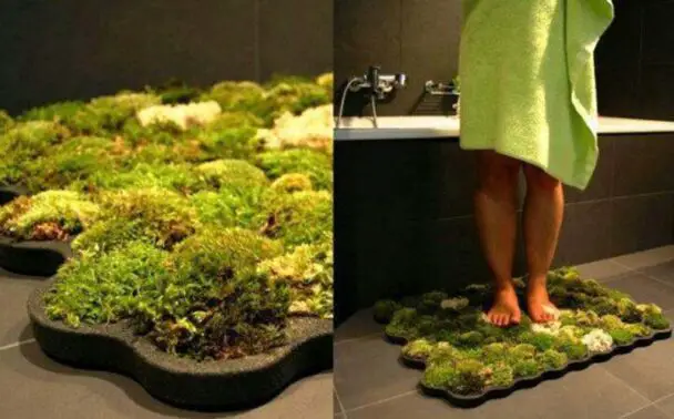 Comfortable Moss Rug