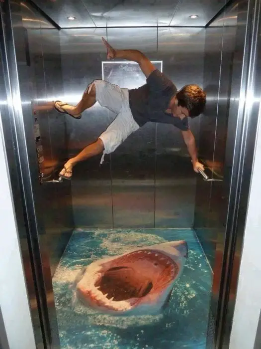 Shark in elevator