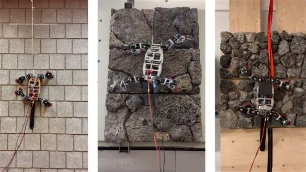 This Robot Is Capable Of Climbing Walls And Inspired By Nature