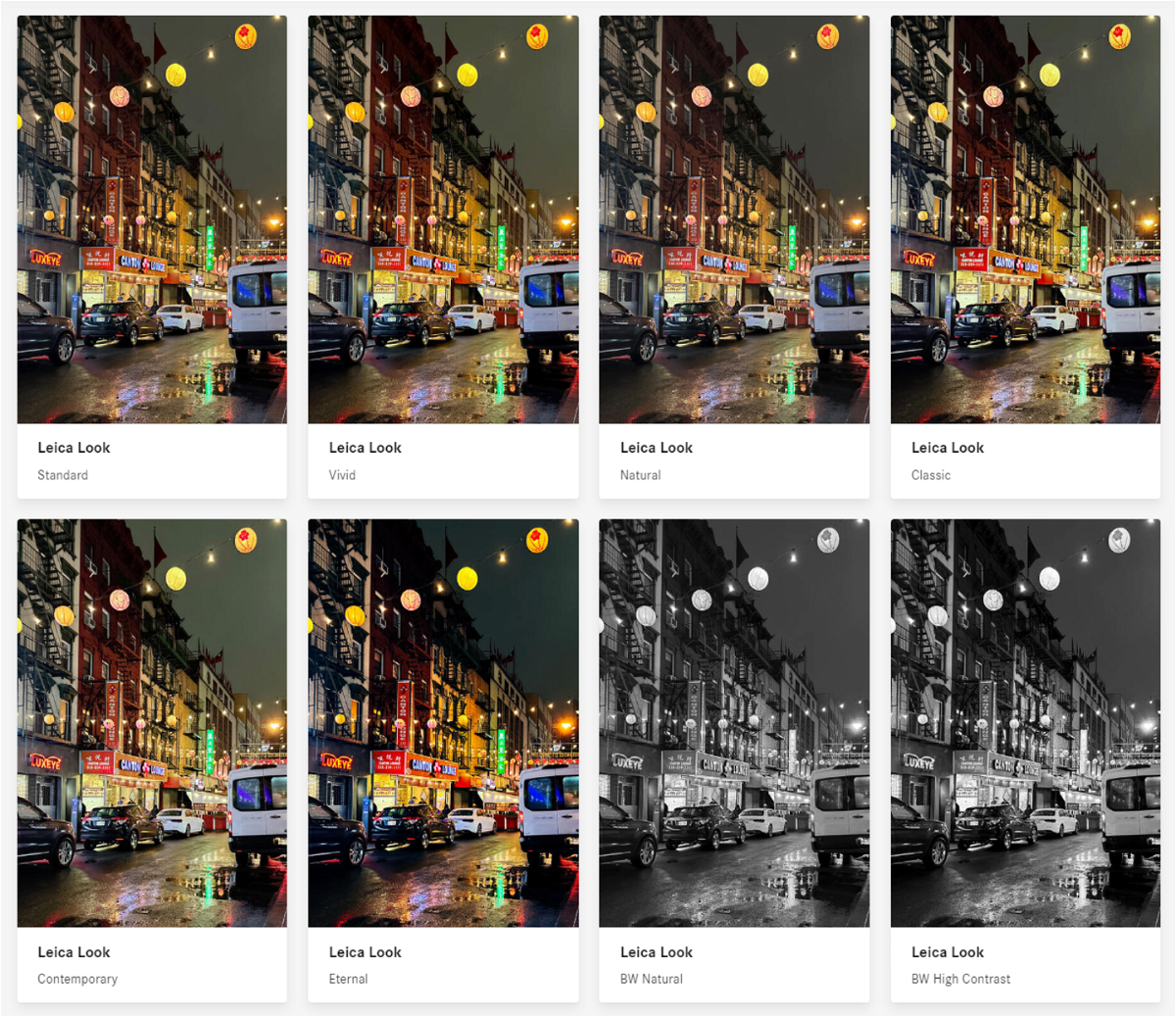 Eight of the eleven styles found in Leica LUX