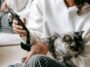 This App Uses Artificial Intelligence To Detect Pain In Cats: It Is A Success In Japan